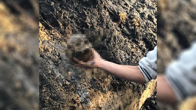 Nazilli Meslek Yüksek Okulu bahçesinden çıkanlar şok etti