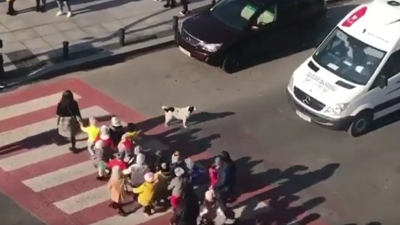 Kupata isimli köpek birçok insana ders verdi. Dünya bu görüntüleri konuşuyor