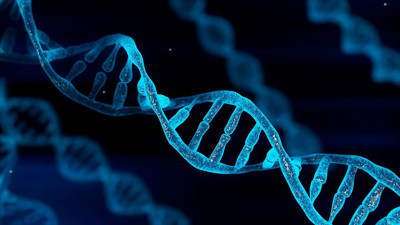 Bilim insanları insan ömrünü kısaltan iki protein keşfetti