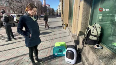 Ukrayna'dan kaçarken kedilerini de yanında götürdü