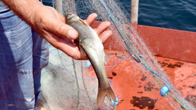 İnci kefalinden sonunda güzel haber geldi!