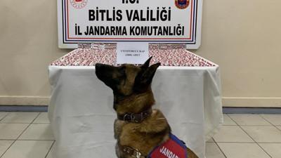 Yolcu otobüsünden yaklaşık 3 bin uyuşturucu hap çıktı