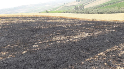 12 dönümlük buğday tarlası yandı