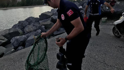 Denizde nefes kesen baskın. 1,5 ton denize döküldü