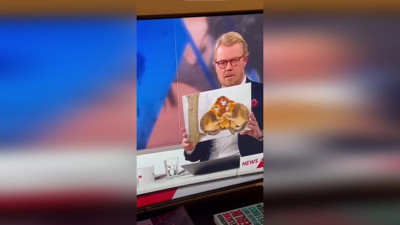 Danimarkalı spikerden büyük hadsizlik. Annelerine sarılan Faslı futbolcuları maymunlara benzetti