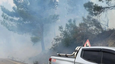 Hatay'da çıkan orman yangını kontrol altına alındı (15 Ocak 2023)
