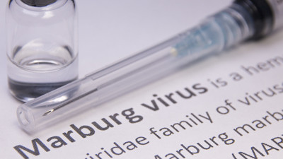 Margburg virüsü nedir? Margburg virüsü belirtileri neler?