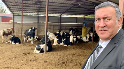 CHP’li Gürer şap hastalığı sonrası uyardı: Şap ile süt sorunu artacak