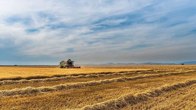 Hollanda'da hükümet ile çiftçiler arasında anlaşma sağlanamadı