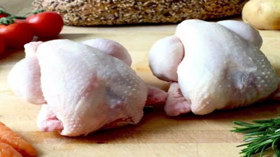 Yaz aylarında tavuk zehirlenmelerine dikkat. Kritik uyarılar