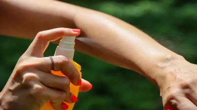 Sinek ısırığına kolonya sürülür mü? Bilim Kurulu Üyesi açıkladı