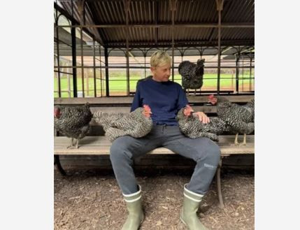 Yağmur, çamur, tavuklar… Hollywood yıldızı doğal hayata dayanamadı: 27 milyona yeni malikane aldı - Resim: 2