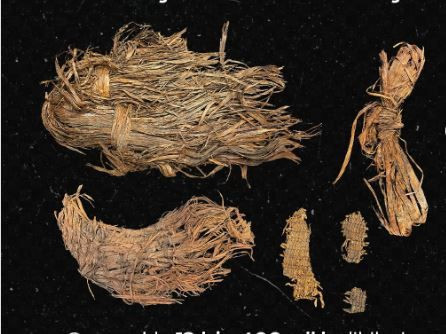 12 bin 400 yıl önce dikilmiş giysi: İnsanlık tarihinin en eski iğne izi ortaya çıktı - Resim: 10