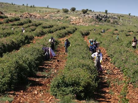 Sahneyi bıraktı, fabrika kurdu: Berdan Mardini paraya para demiyor - Resim: 7