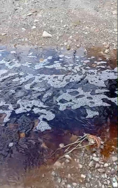 Görüntüler Yalova'dan: Deniz bir anda kırmızıya boyandı - Resim : 1