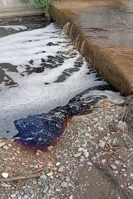 Görüntüler Yalova'dan: Deniz bir anda kırmızıya boyandı - Resim : 2