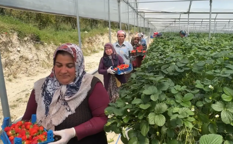 Serasına kurduğu sistemle servetine servet kattı: 2 ülkeye ihraç ediyor paraya para demiyor - Resim: 5