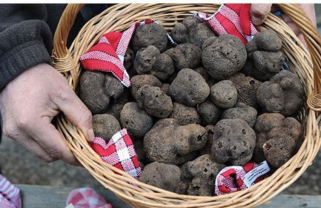 Türkiye’nin 'siyah elması’: Kilosu 20 bin TL - Resim: 5