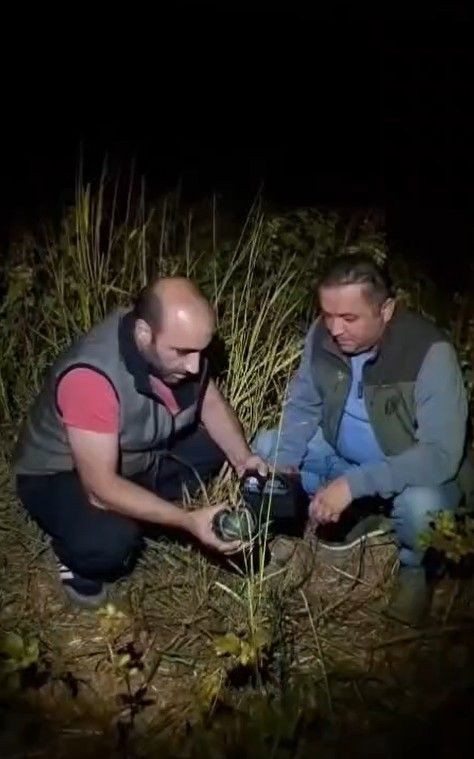 Tüpün içine ses cihazı yerleştirmişler: Kaçak avcıların oyunu bozuldu - Resim: 6
