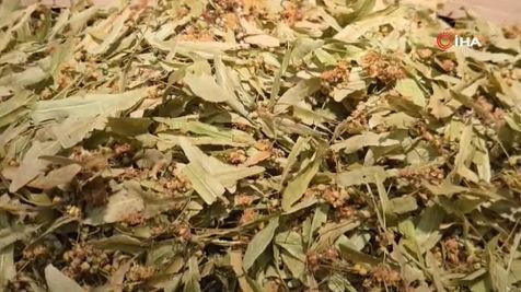 Altınla yarışıyordu: Kış aylarının vazgeçilmesinin kilosu 1000 TL düştü - Resim: 12