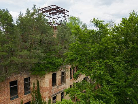 Dünyanın en karanlık hastanesi... Hitler’in odasından katillerin av sahasına - Resim: 6