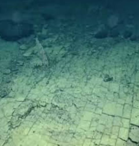 Atlas Okyanusu’nun derinliklerinde yaşamın izleri: 'Kayıp Şehir' gizemini koruyor - Resim: 10