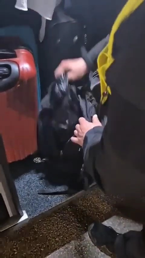 Çantadan deste deste para fışkırdı: Gümrük memurları şoke oldu - Resim : 1