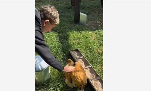 Yağmur, çamur, tavuklar… Hollywood yıldızı doğal hayata dayanamadı: 27 milyona yeni malikane aldı - Resim: 8