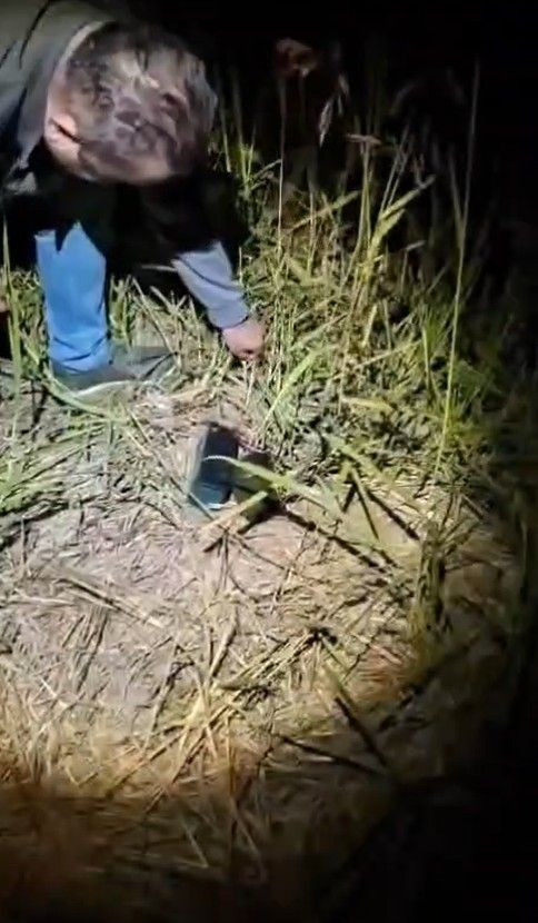 Tüpün içine ses cihazı yerleştirmişler: Kaçak avcıların oyunu bozuldu - Resim: 5