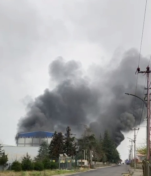 Trabzon'da fındık fabrikası alevlere teslim: Dev tesiste yangın &ccedil;ıktı - Resim : 3