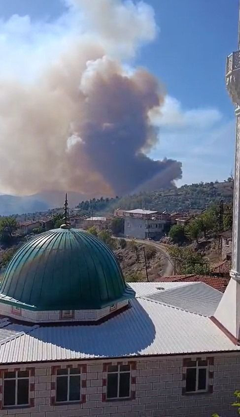 Alevler ormanı sardı: Ekipler söndürmek için seferber oldu - Resim: 3