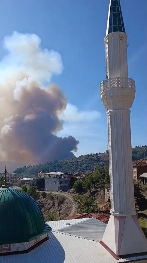 Alevler ormanı sardı: Ekipler söndürmek için seferber oldu - Resim: 7