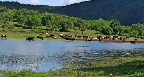 İstanbul baraj doluluk oranları (1 Nisan 2026) - Resim: 12