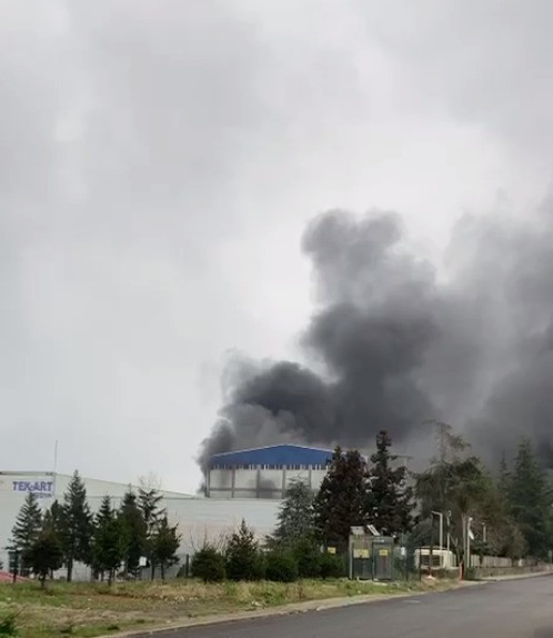 Trabzon'da fındık fabrikası alevlere teslim: Dev tesiste yangın &ccedil;ıktı - Resim : 4