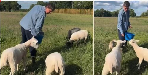 Yağmur, çamur, tavuklar… Hollywood yıldızı doğal hayata dayanamadı: 27 milyona yeni malikane aldı - Resim: 4