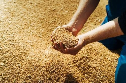 Türkiye'nin ünlü gıda firması için iflas kararı: En büyük 500'e girmişti - Resim: 6