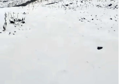 Rize’de eylülde sürpriz: Tahpur Yaylası'nı beyaz örtü kapladı - Resim: 2