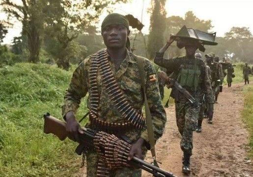 Türkiye'yi tehdit eden Uganda'nın gücü ne kadar? Askeri gücü, ekonomisi, nüfusu... - Resim: 8