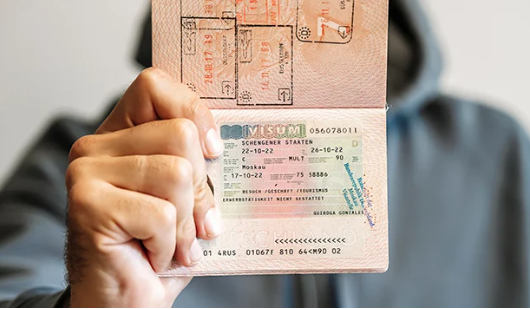 Vize randevularında kriz dalga dalga büyüyor: Aracılara para kaptırmayın - Resim: 4