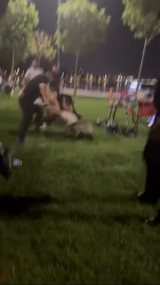 Buda piknik kavgası: İstanbul’un en işlek sahili: Kolları sıvayan çimenlere daldı - Resim : 3