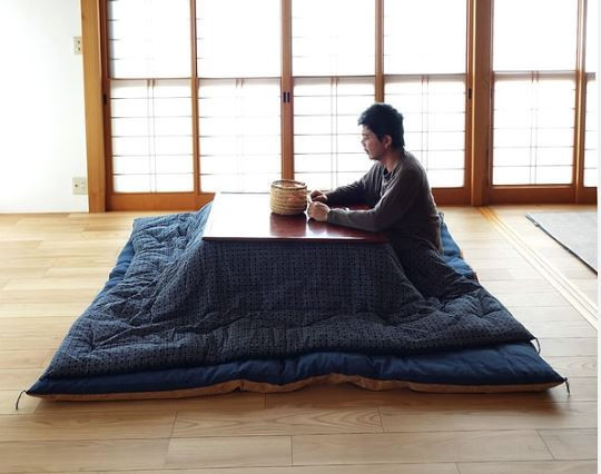 Ne kombi ne doğalgaz: Kışın yeni trendi Japon usulü lokal ısınma - Resim : 6