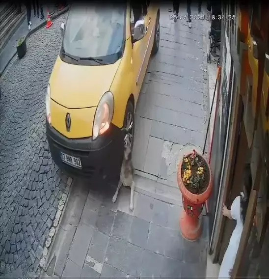 &lsquo;Ben değil o ceza almalıydı&rsquo;: Melek, cezaevine teslim olmadan paylaştı - Resim : 2