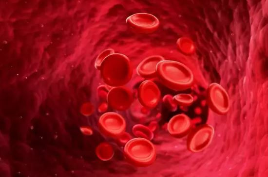 Lider mi, özgür ruh mu? Kan grubun karakterini açıklıyor - Resim: 4