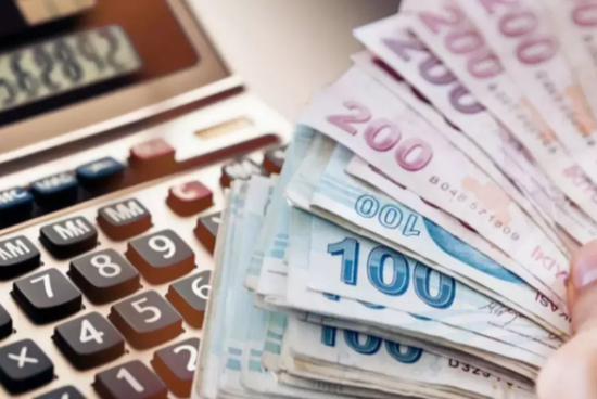 Engelli emekliliğinde yeni düzenleme mağdur ediyor: Gözler Anayasa Mahkemesi’nde - Resim: 10