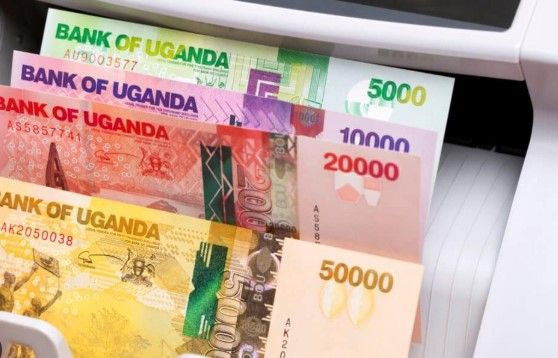 Türkiye'yi tehdit eden Uganda'nın gücü ne kadar? Askeri gücü, ekonomisi, nüfusu... - Resim: 11