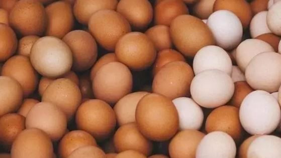 Meğer her gün çöpe atıyormuşuz: Kolajenin en güçlü kaynağı ortaya çıktı - Resim: 5