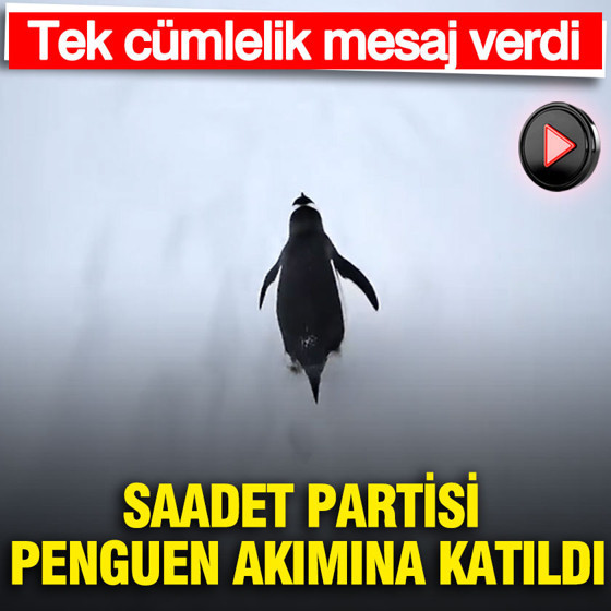 Saadet Partisi penguen akımına katıldı... Tek cümlelik mesaj verdi