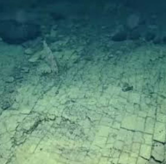 Okyanusun derinliklerinde ezber bozan keşif - Resim: 9