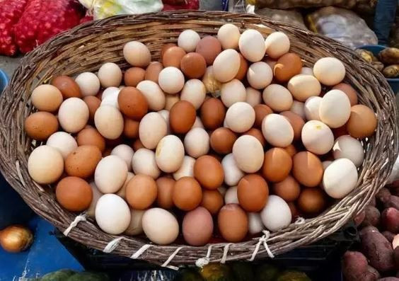 Meğer her gün çöpe atıyormuşuz: Kolajenin en güçlü kaynağı ortaya çıktı - Resim: 3