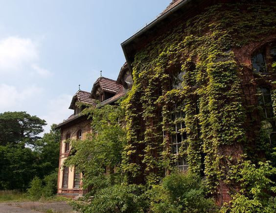 Dünyanın en karanlık hastanesi... Hitler’in odasından katillerin av sahasına - Resim: 9